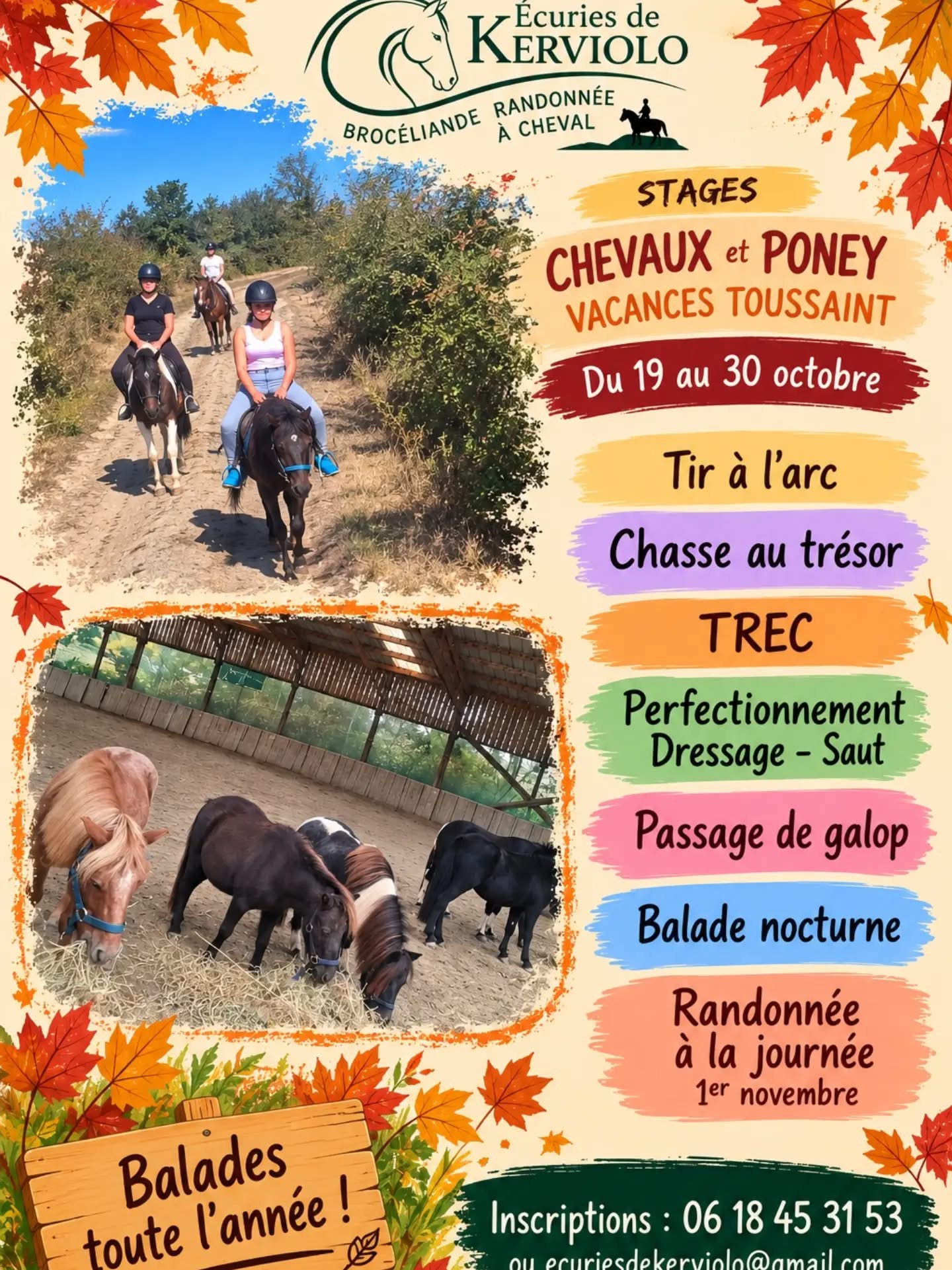 Stages chevaux et poneys — vacances de la Toussaint